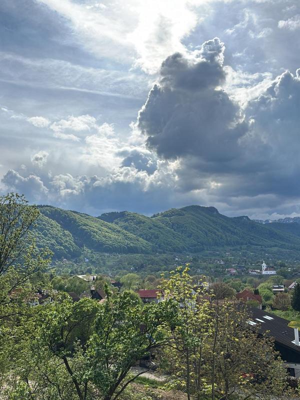 cabane Bran - cazare Triada Muntilor 32